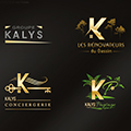 logos Groupe KALYS et ses filizles