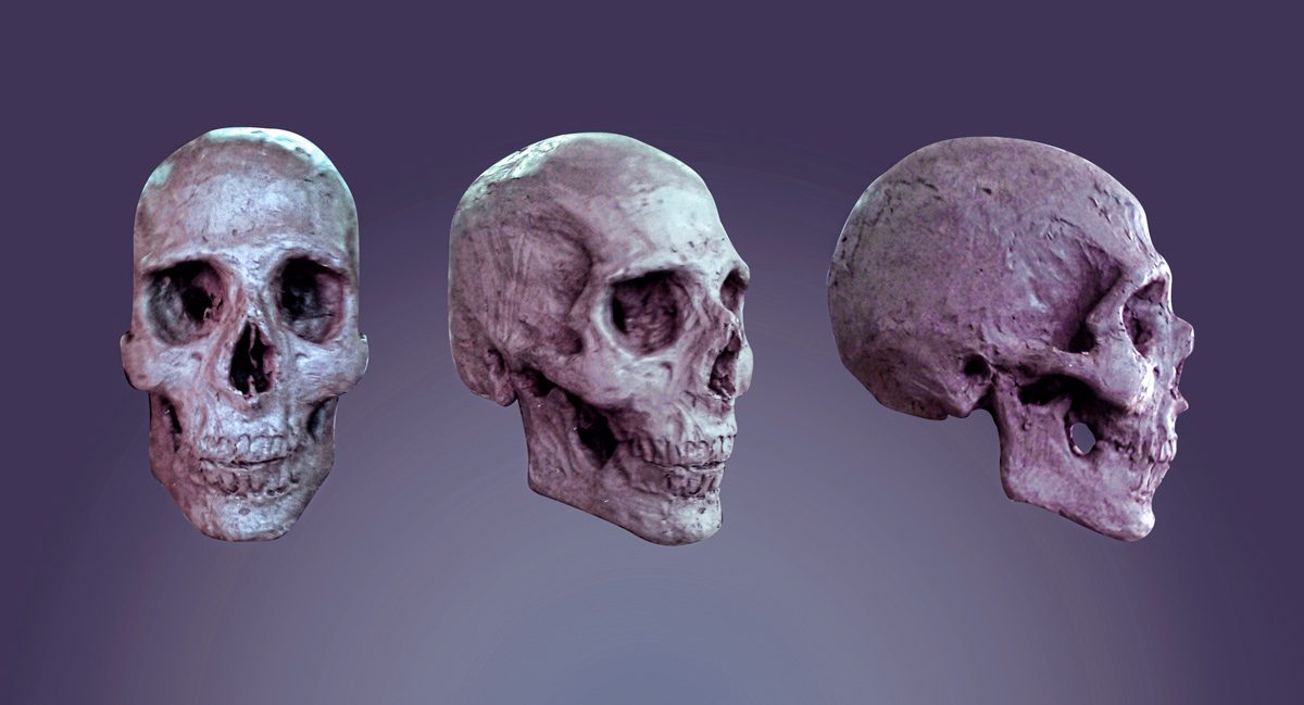 modelage terre crue crâne