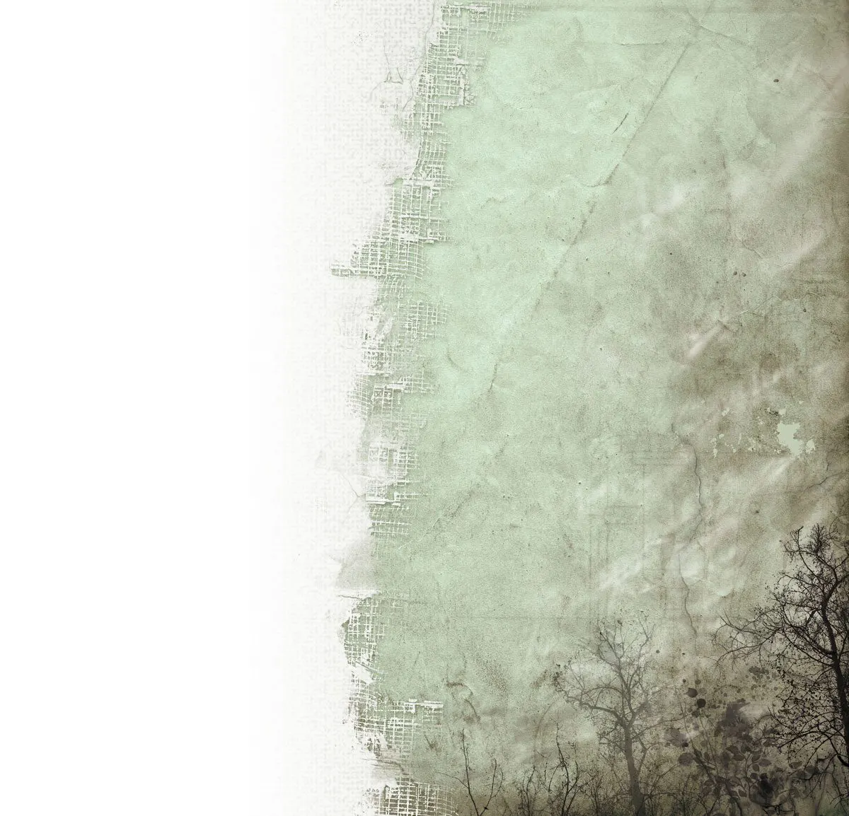 « Peurs absurdes » infographie