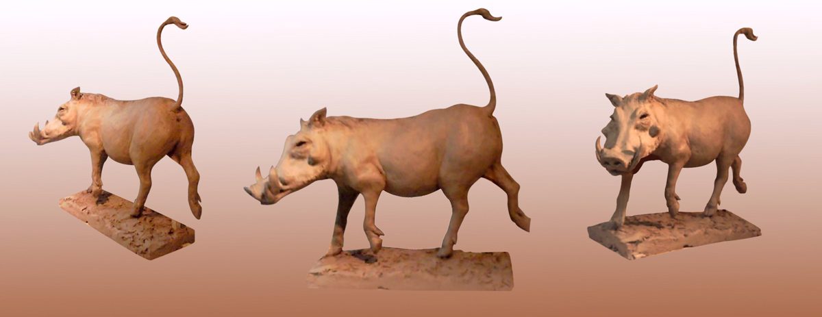 modelage terre crue phacochère