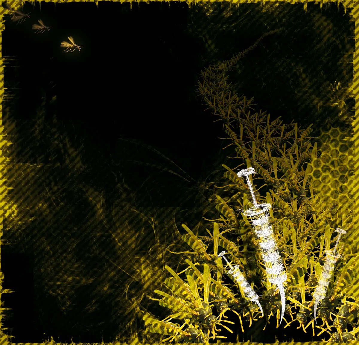 « Peurs absurdes » infographie