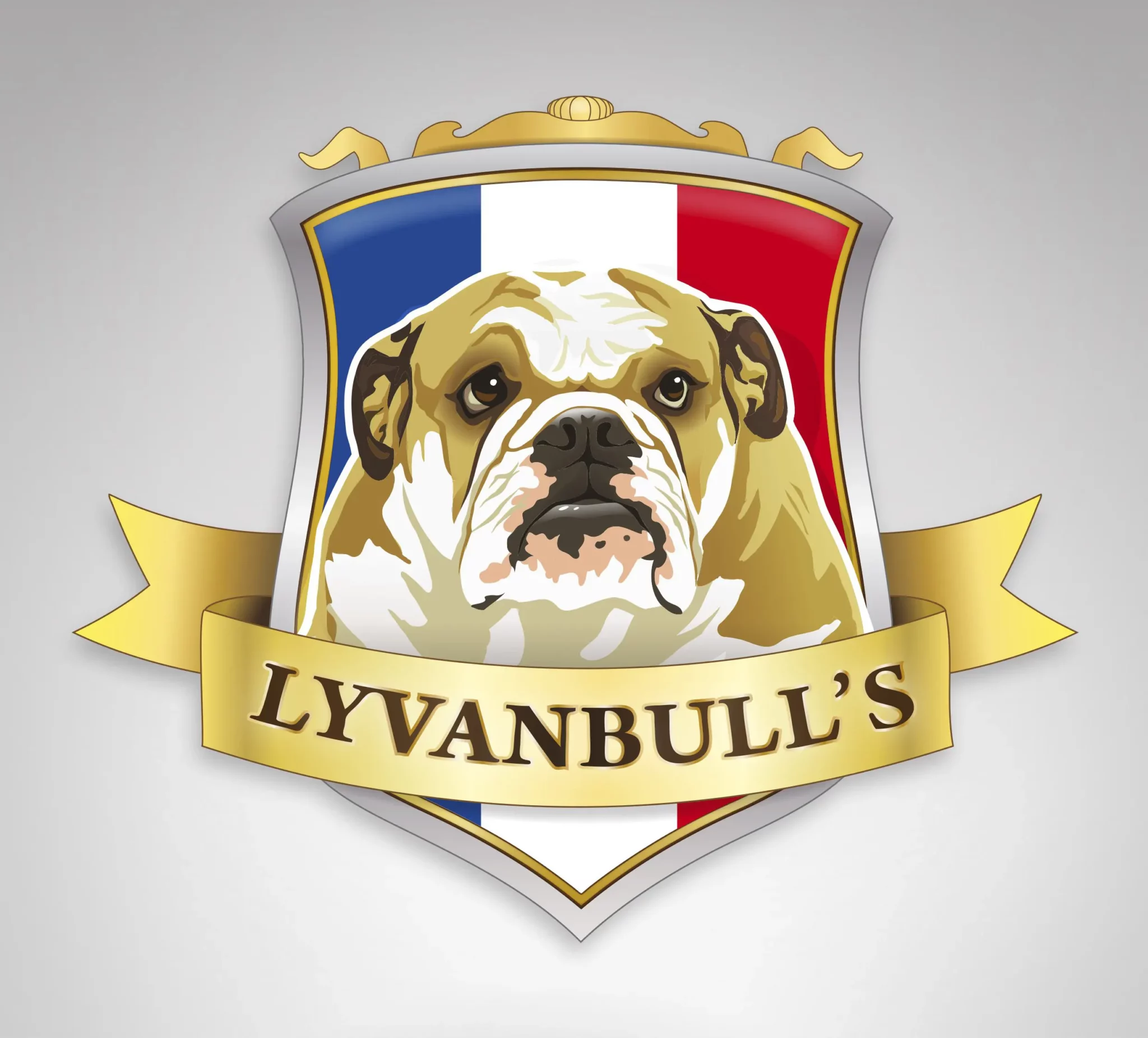 Conception du logo de l'éleveur de bulldogs anglais LYVANBULL'S
