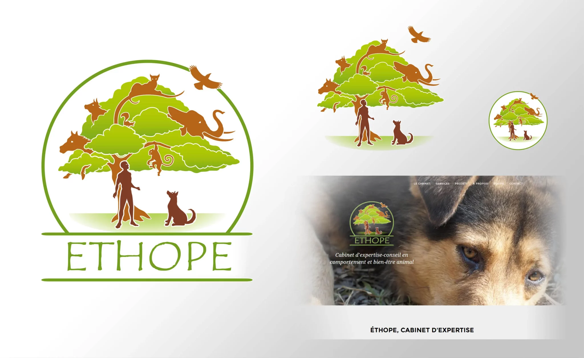 Logo pour un éthologue, représentant l'étude du comportement des animaux domestiques et sauvages.